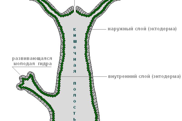 Kraken 15 at сайт