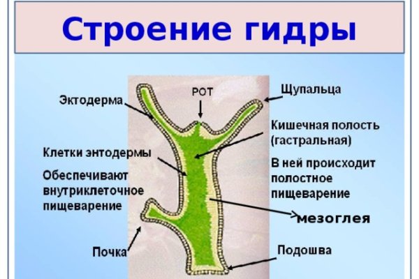 Почему кракен не блокируют