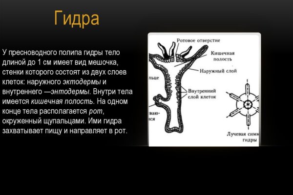 Кракен zerkalo pw