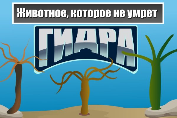 Ссылка на кракен тор kraken014 com